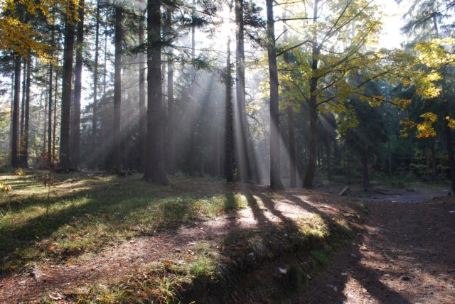 dsc_0015.jpg