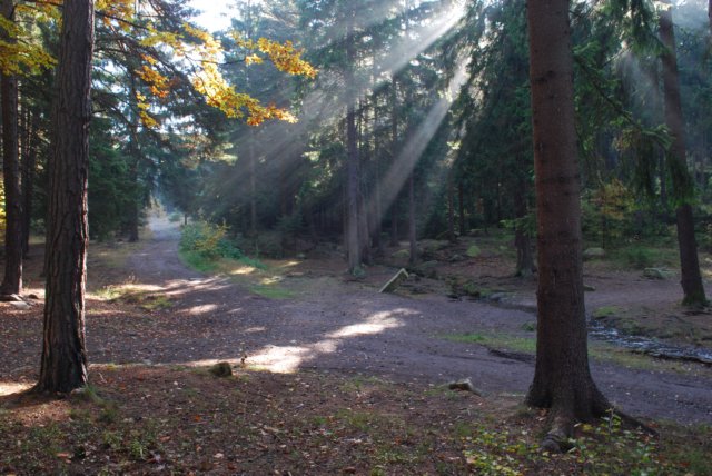 dsc_0030.jpg