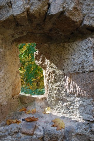 dsc_0046.jpg