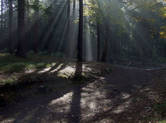 dscf2337.jpg