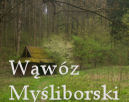 Plener - Wwz Myliborski
