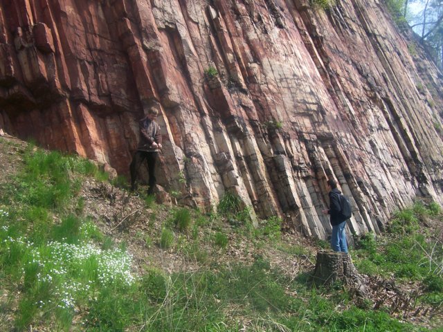 _2308.jpg